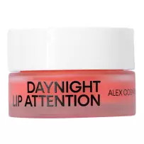 DayNight Lip Attention 