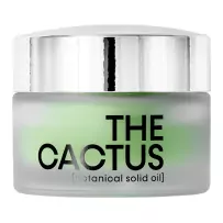 The Cactus 
