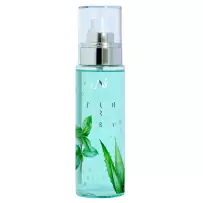 Hyaluron Spray Aloe & Mint 
