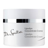 Lipodyn Concentrate Creme 