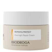 Repair & Protect Overnight Repair Cream 