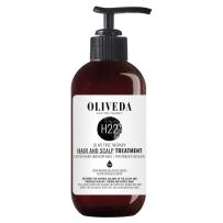 H22 Hair and Scalp Treatment 